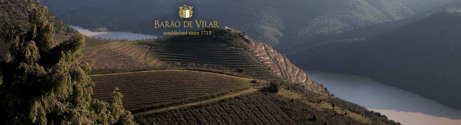 Barão de Vilar Douro Red Seasoned 2019